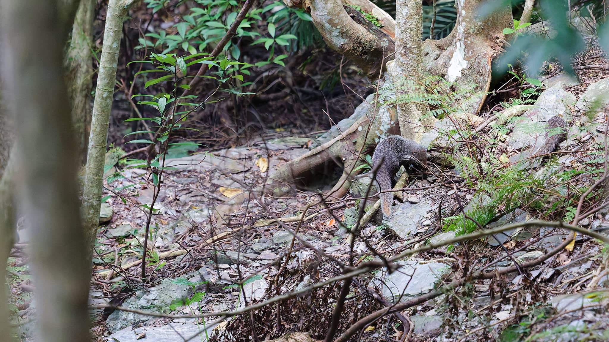 07 - Chishang (7).jpg